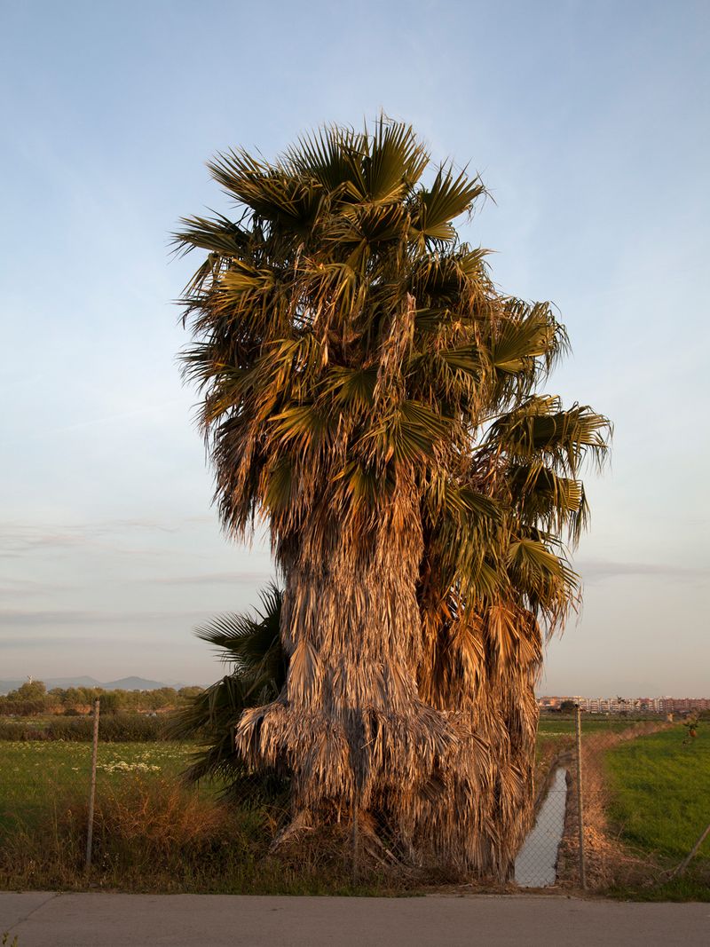 © Eugeni Gay Marín - Image from the À la ville de... photography project