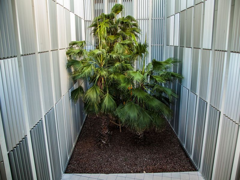 © Eugeni Gay Marín - Image from the À la ville de... photography project