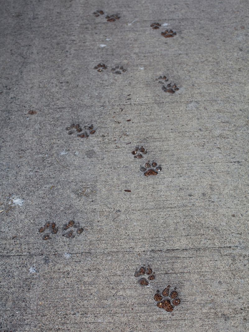 © Eugeni Gay Marín - Image from the À la ville de... photography project