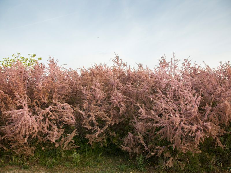 © Eugeni Gay Marín - Image from the À la ville de... photography project