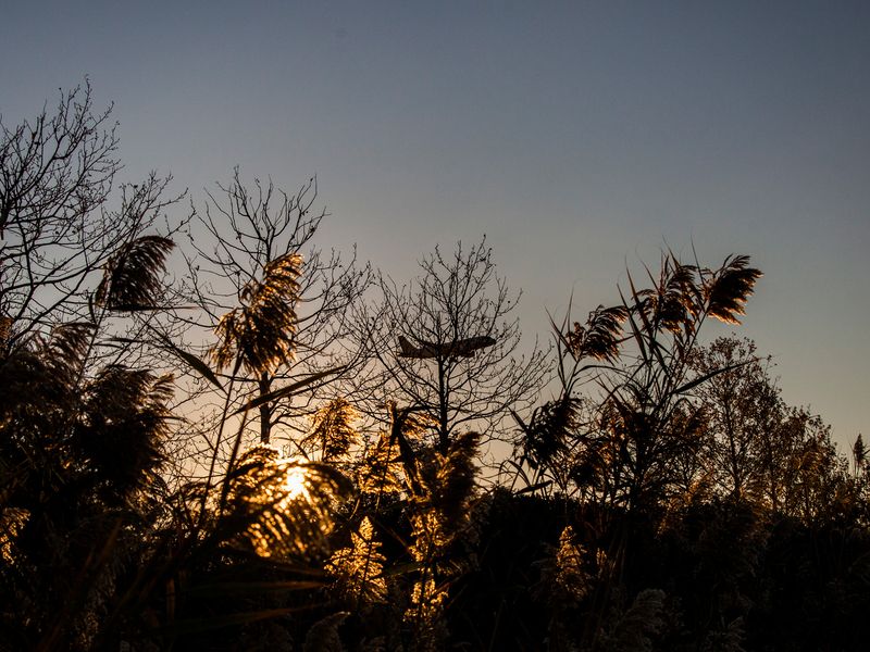 © Eugeni Gay Marín - Image from the À la ville de... photography project