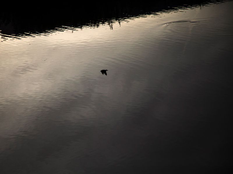 © Eugeni Gay Marín - Image from the À la ville de... photography project