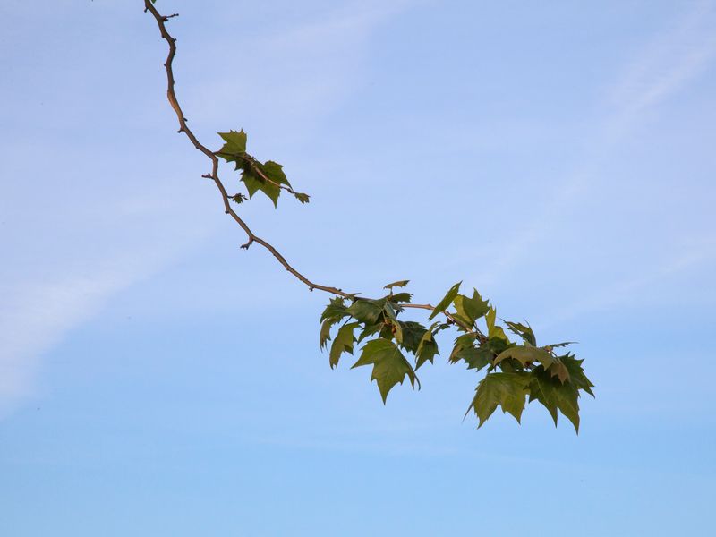 © Eugeni Gay Marín - Image from the À la ville de... photography project