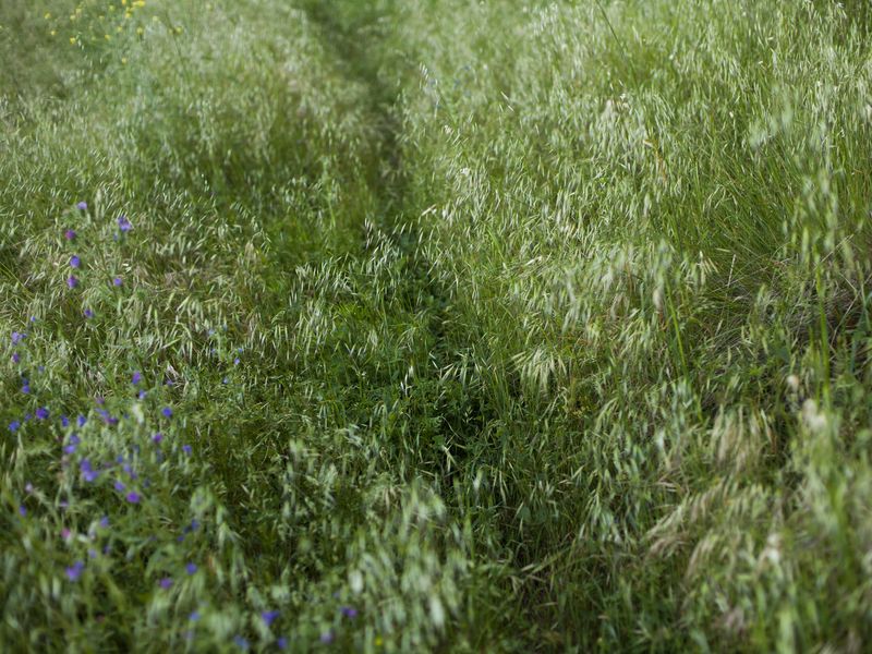 © Eugeni Gay Marín - Image from the À la ville de... photography project