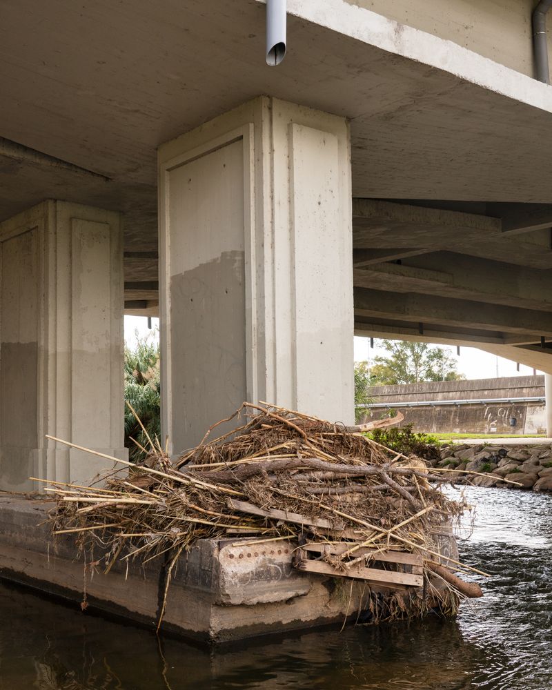 © Eugeni Gay Marín - Image from the On la natura s'esvaeix / Where nature fades away photography project