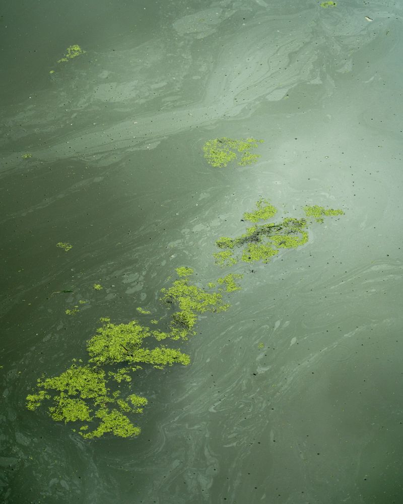 © Eugeni Gay Marín - Image from the On la natura s'esvaeix / Where nature fades away photography project