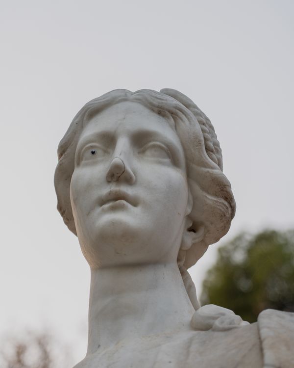 © Eugeni Gay Marín - Image from the On la natura s'esvaeix / Where nature fades away photography project