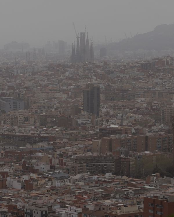 © Eugeni Gay Marín - Image from the On la natura s'esvaeix / Where nature fades away photography project