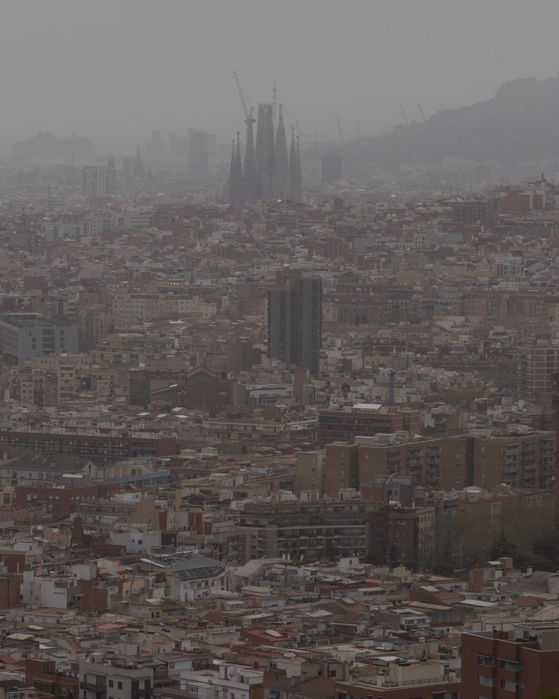 © Eugeni Gay Marín - Image from the On la natura s'esvaeix / Where nature fades away photography project