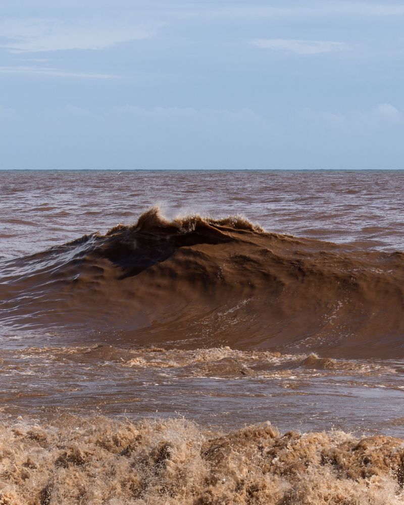 © Eugeni Gay Marín - Image from the On la natura s'esvaeix / Where nature fades away photography project