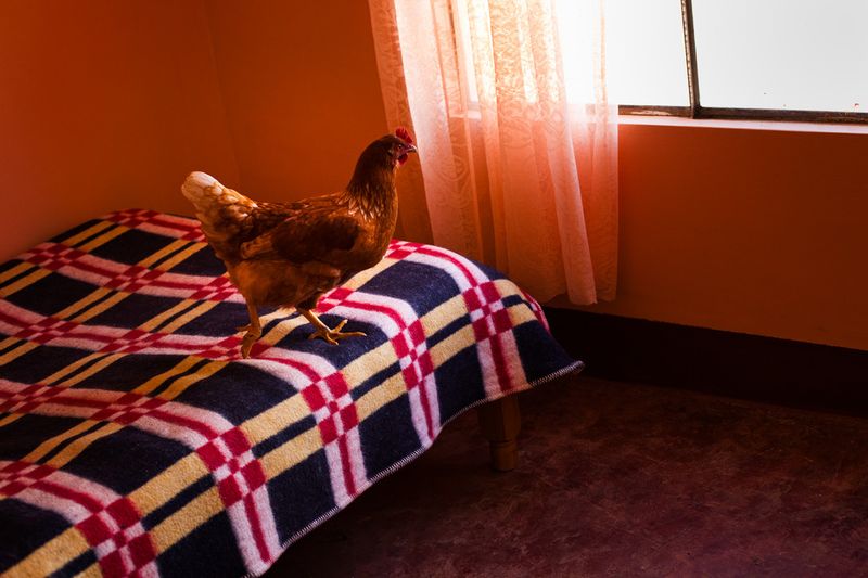 © Eugeni Gay Marín - Image from the From Quantum Island photography project