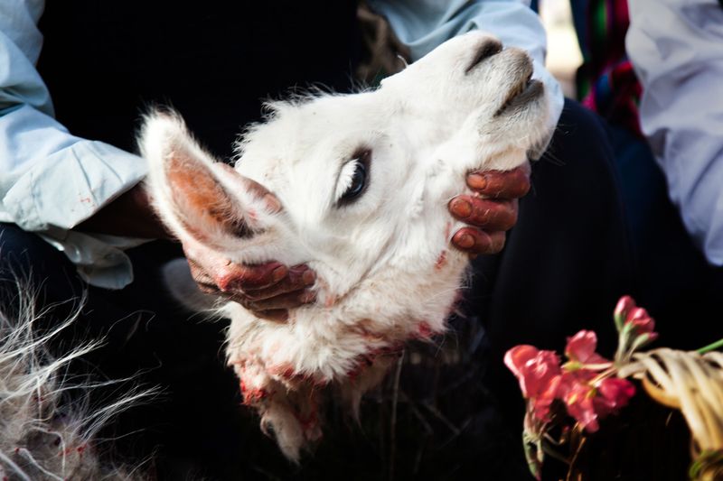 © Eugeni Gay Marín - Image from the From Quantum Island photography project