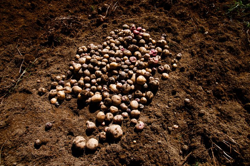 © Eugeni Gay Marín - Image from the From Quantum Island photography project