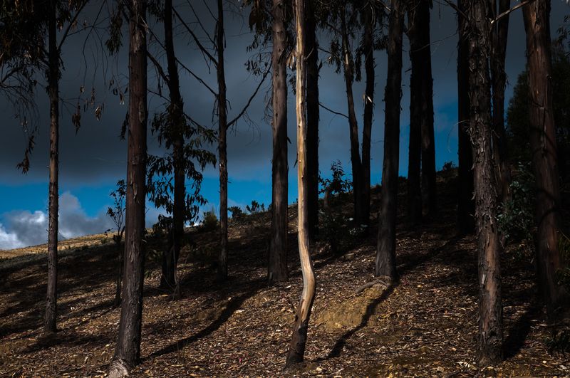 © Eugeni Gay Marín - Image from the From Quantum Island photography project