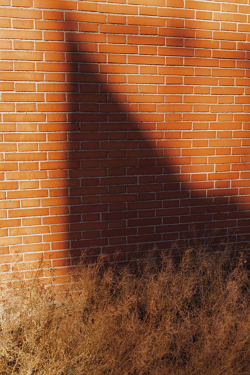 © David Hornillos - Image from the Mediodía photography project