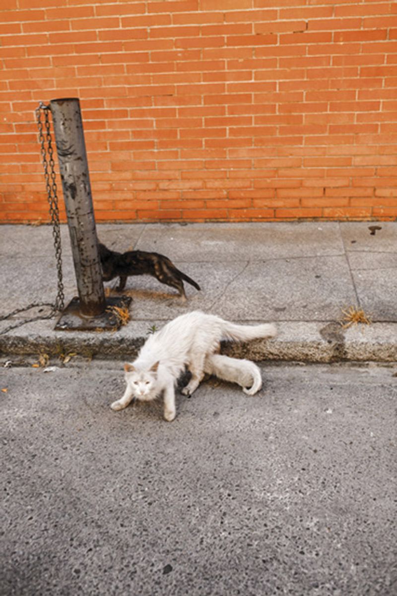 © David Hornillos - Image from the Mediodía photography project