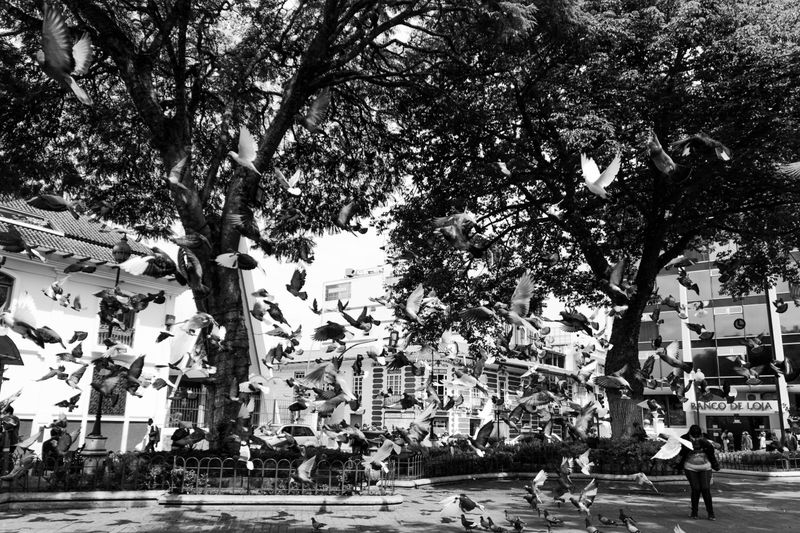 © Ahimsa - Image from the COVID-19 Vida y Muerte photography project