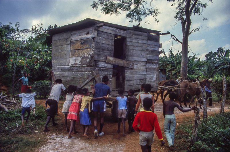 © Steven Edson - It takes a village to move a wooden shed by horseback through the small rural roads of Jamaica.