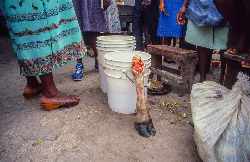 © Steven Edson - Cow leg for sale at the open air food market in Savanna le Mar, Jamaica