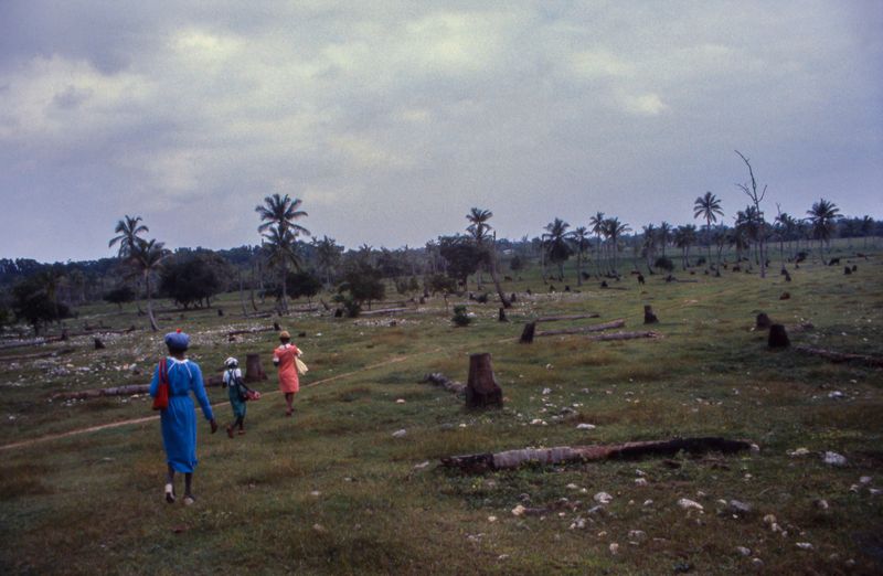 © Steven Edson - Women wearing their best dresses while heading to Sunday church services using the local pastures. Jamaica
