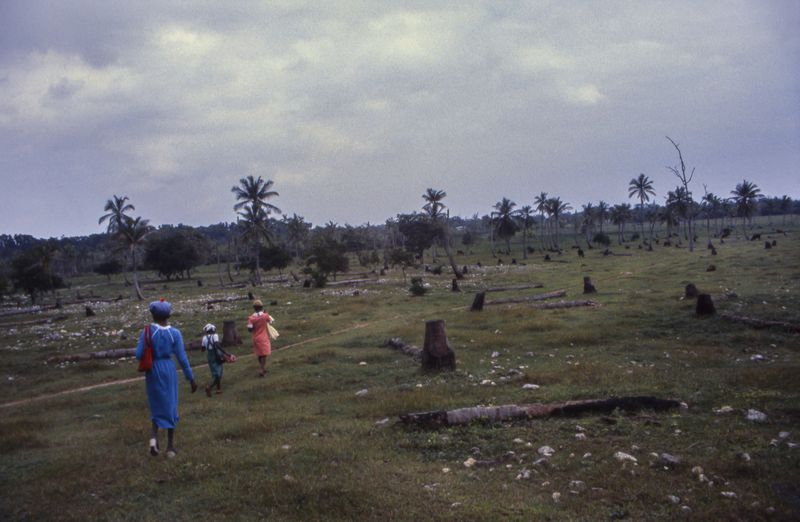 © Steven Edson - Women wearing their best dresses while heading to Sunday church services using the local pastures. Jamaica