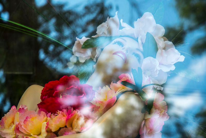 © Steven Edson - If only life was this joyous. Rhinebeck, NY