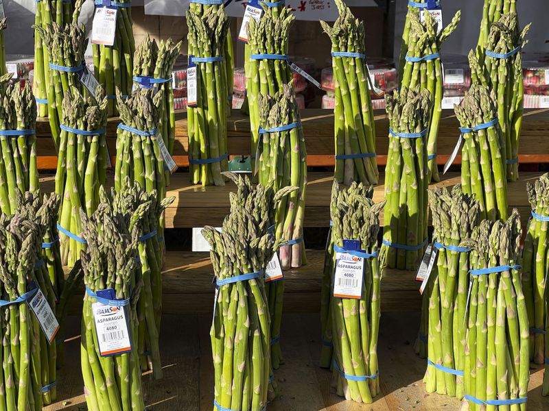 © Steven Edson - Fresh Asparagus