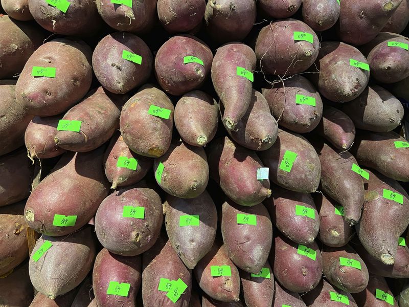 © Steven Edson - Sweet potatoes with green price tags.