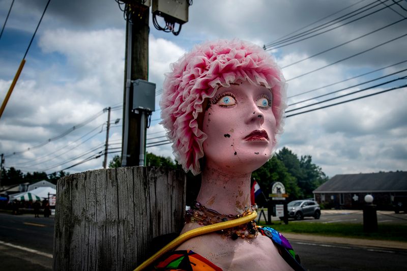 © Steven Edson - Bizarroland, Brimfield, MA