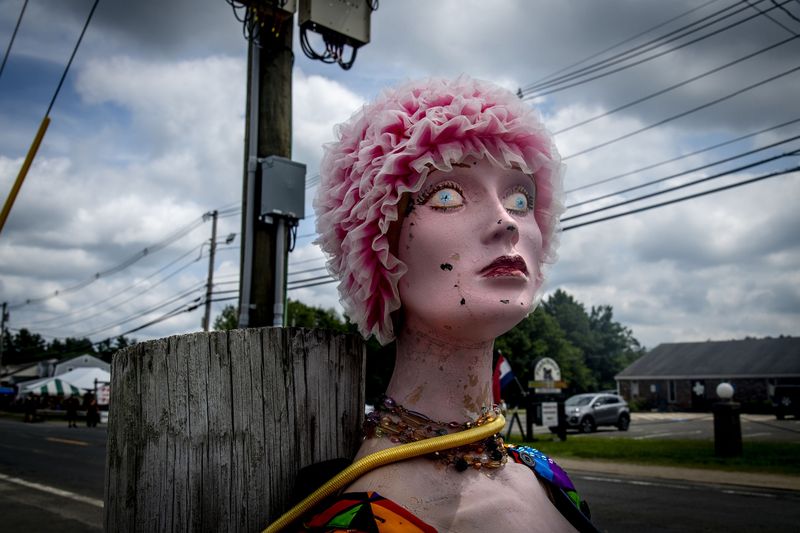 © Steven Edson - Bizarroland, Brimfield, MA
