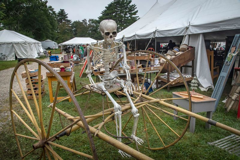 © Steven Edson - Bizarroland, Brimfield, MA