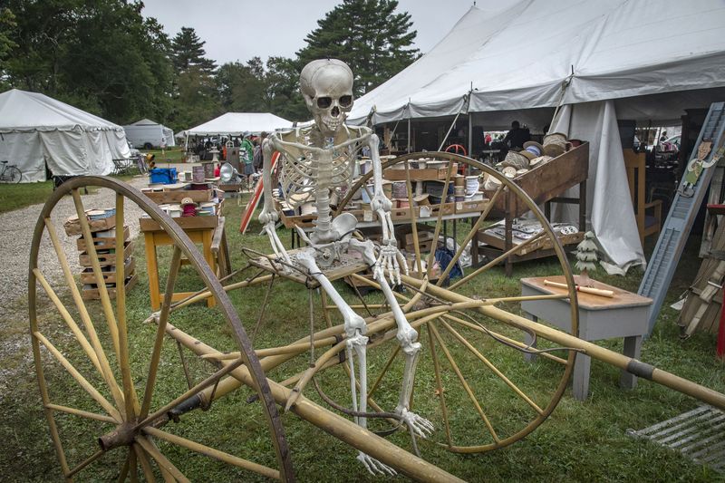 © Steven Edson - Bizarroland, Brimfield, MA