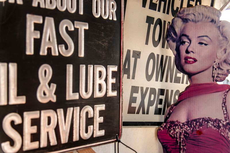 © Steven Edson - Bizarroland, Brimfield, MA