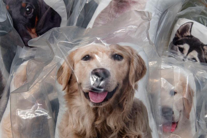 © Steven Edson - Bizarroland, Brimfield, MA