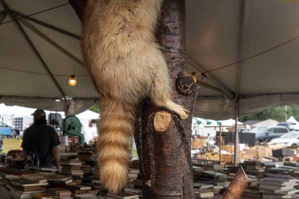 © Steven Edson - Bizarroland, Brimfield, MA