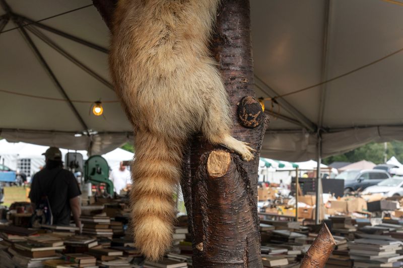 © Steven Edson - Bizarroland, Brimfield, MA