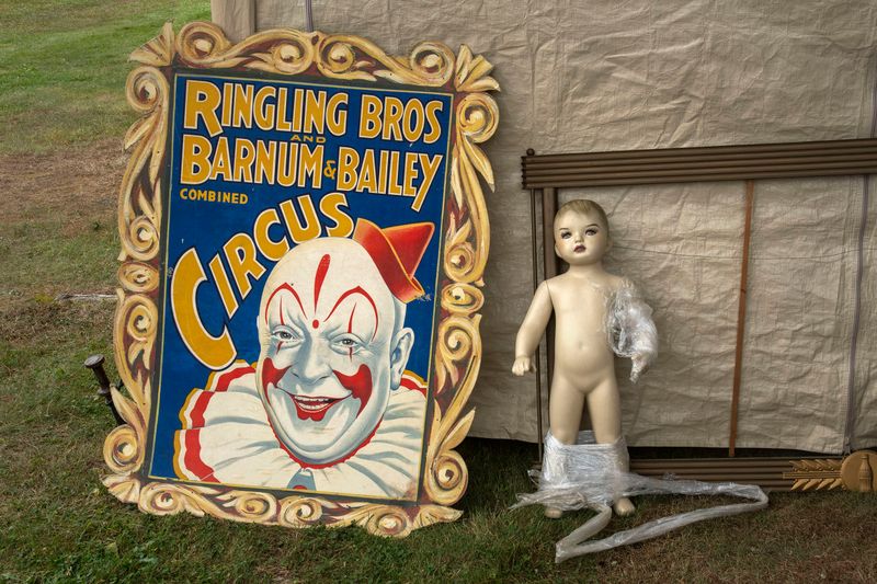 © Steven Edson - Bizarroland, Brimfield, MA