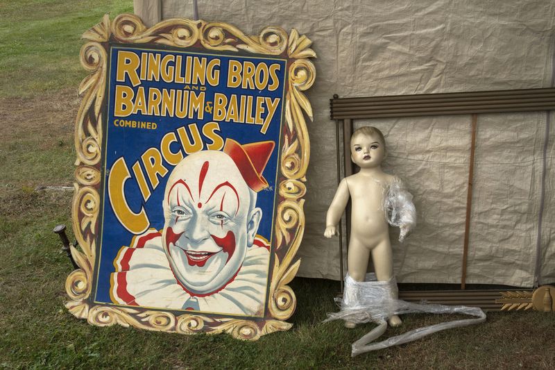© Steven Edson - Bizarroland, Brimfield, MA
