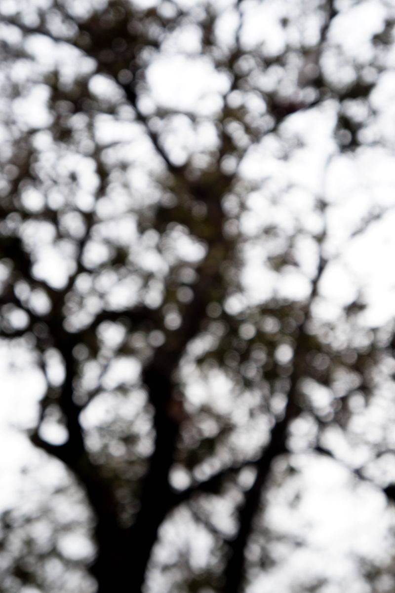© Romina Sandoval Rojas - Image from the Impermanencias photography project
