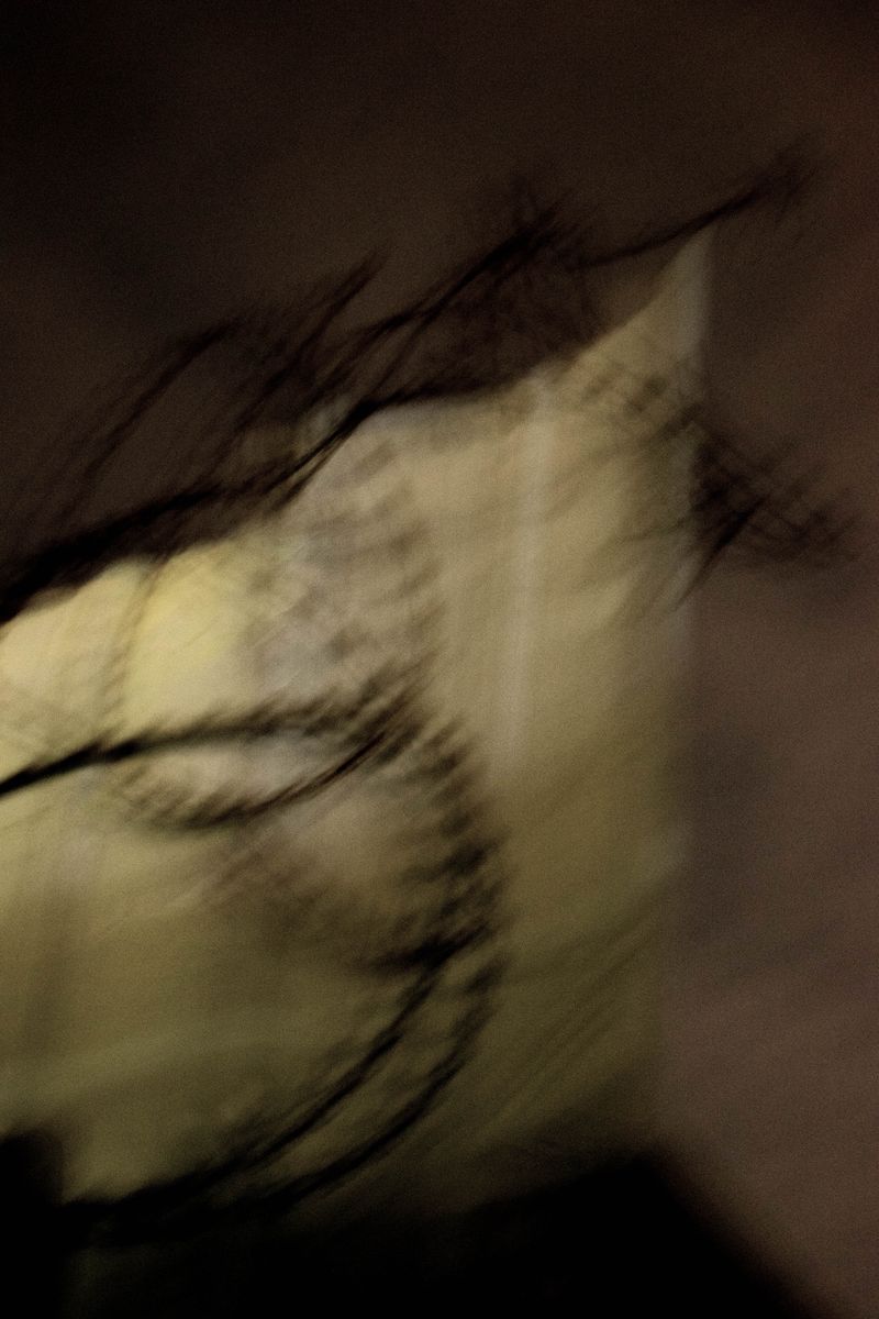 © Romina Sandoval Rojas - Image from the Impermanencias photography project