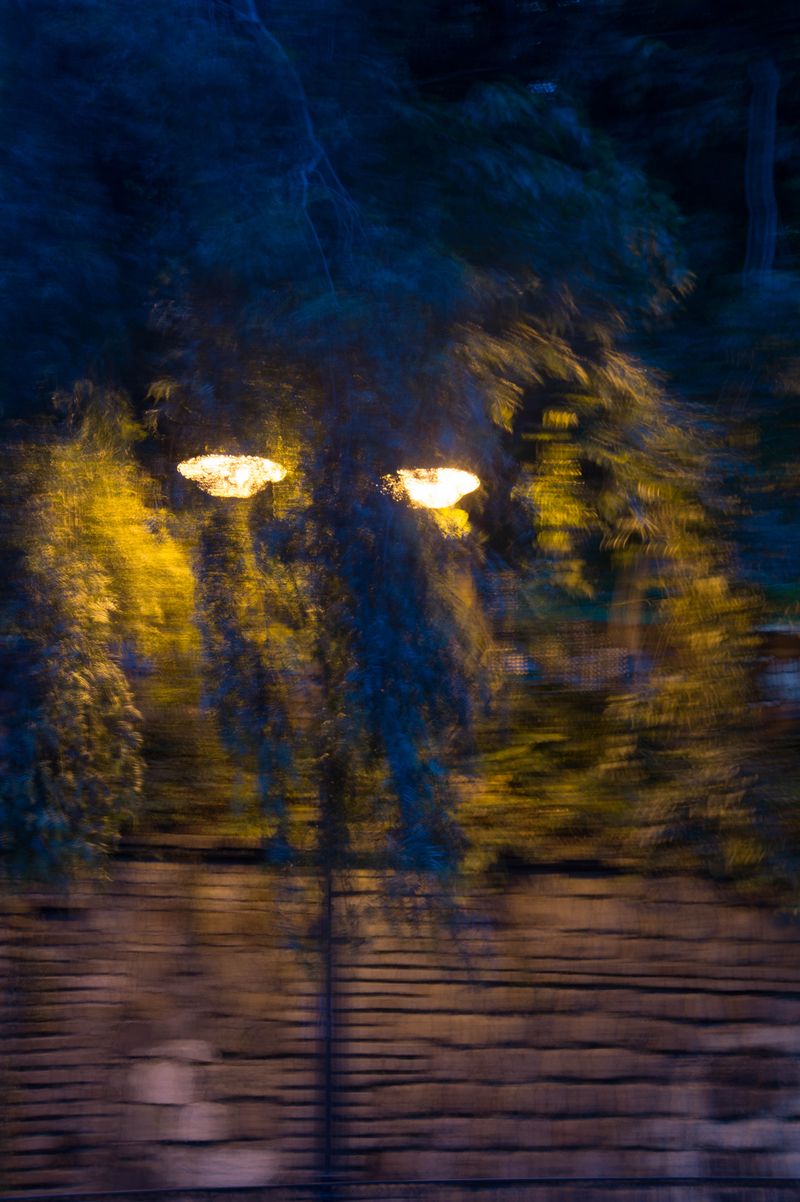 © Romina Sandoval Rojas - Image from the Impermanencias photography project