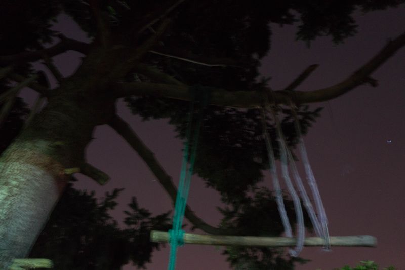 © Romina Sandoval Rojas - Image from the Impermanencias photography project