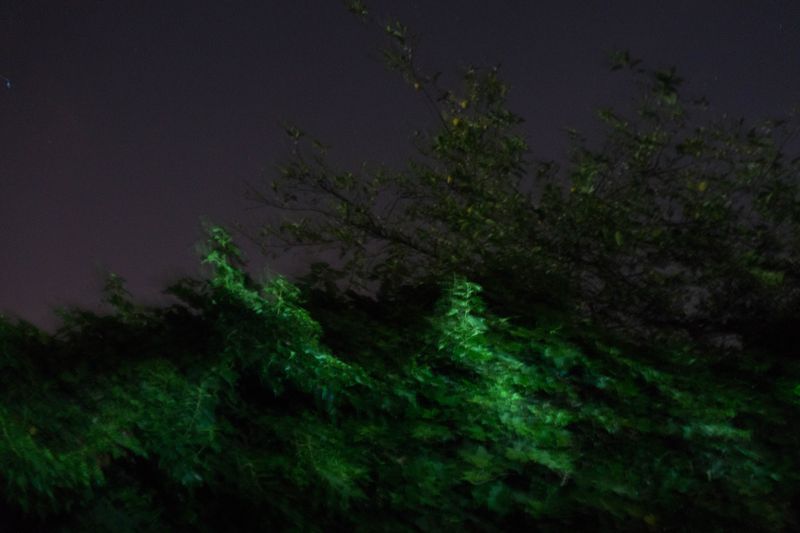 © Romina Sandoval Rojas - Image from the Impermanencias photography project