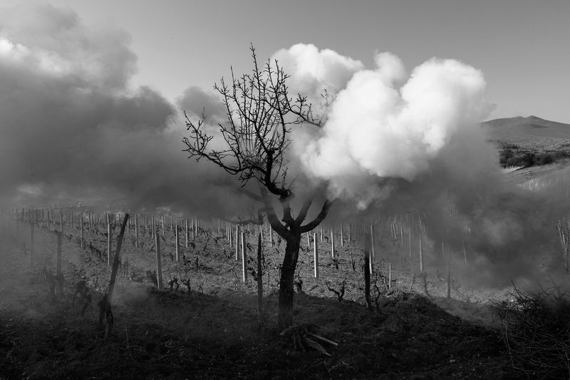 © Frederik Buyckx - Macedonia