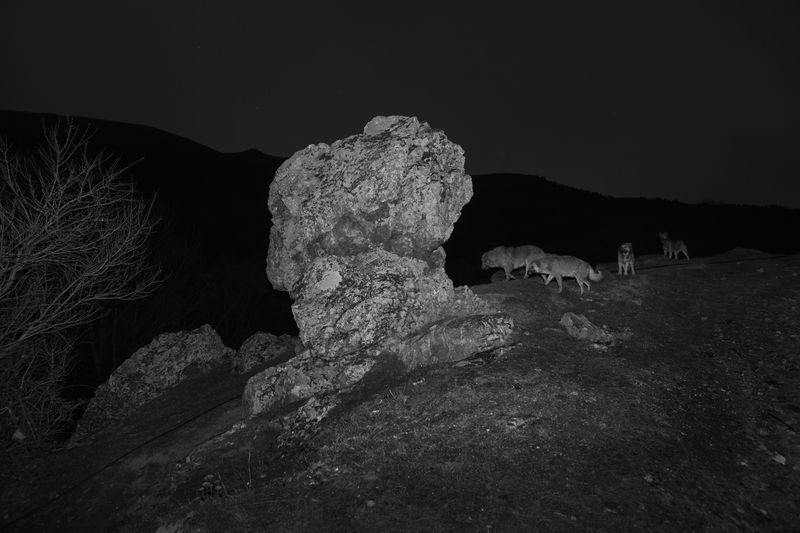 © Frederik Buyckx - Albania