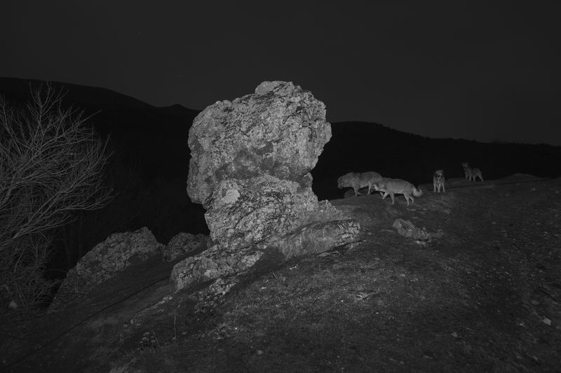 © Frederik Buyckx - Albania