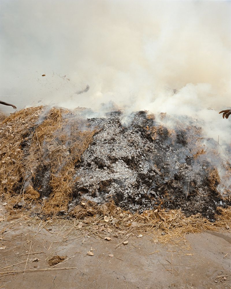 © Brendon Kahn - Image from the YOU CAN LIVE FOREVER IN PARADISE ON EARTH photography project