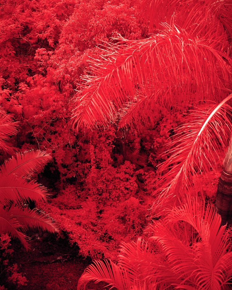 © Brendon Kahn - Image from the YOU CAN LIVE FOREVER IN PARADISE ON EARTH photography project