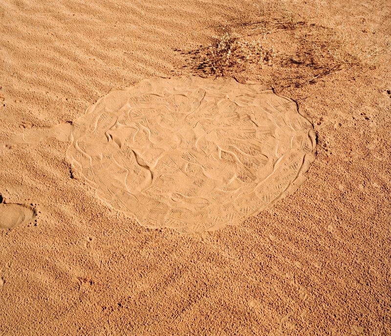 © Brendon Kahn - Image from the YOU CAN LIVE FOREVER IN PARADISE ON EARTH photography project