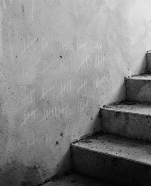 Wet Grass, Dry Shade